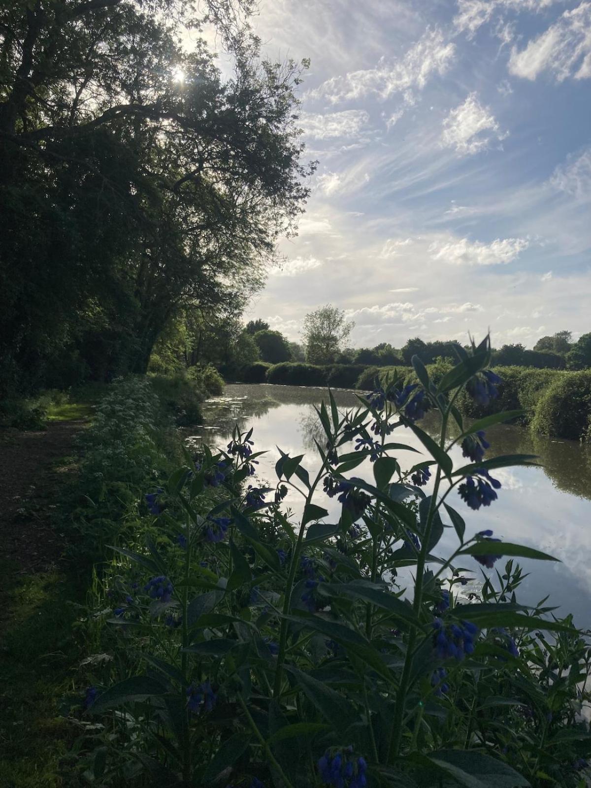 Dutch Cruiser Ship On A Tranquil Secluded River Тонбридж Екстериор снимка