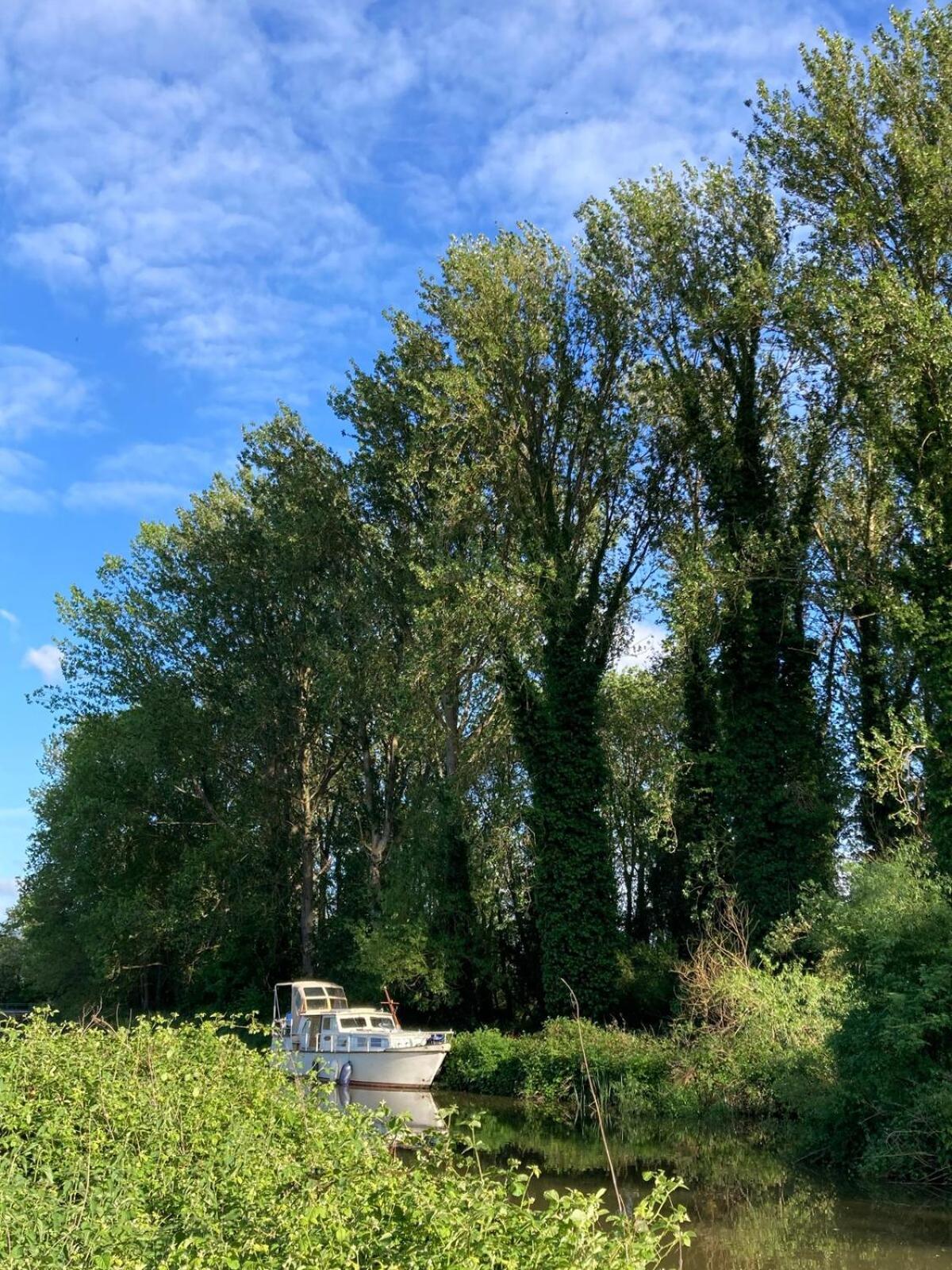 Dutch Cruiser Ship On A Tranquil Secluded River Тонбридж Екстериор снимка